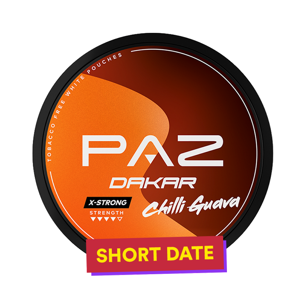 PAZ Racing Dakar
