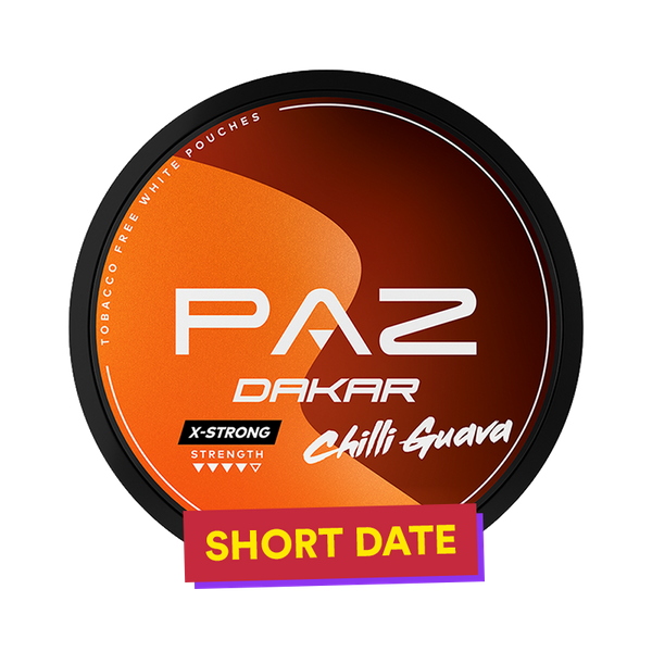 PAZ Racing Dakar