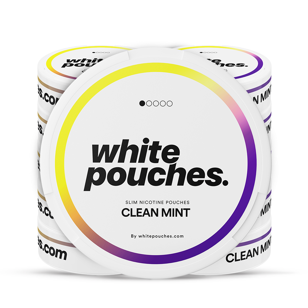 10x Whitepouches Clean Mint Light