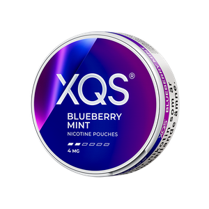 XQS Blueberry Mint Light Slim