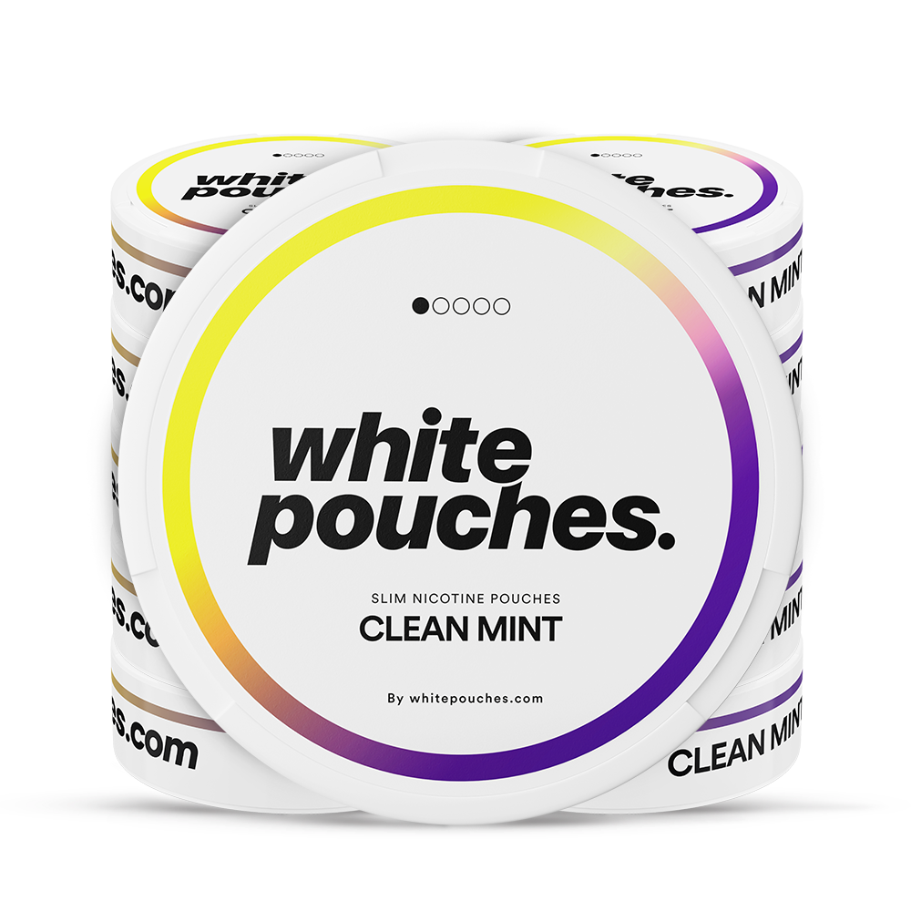 10x Whitepouches Clean Mint Light